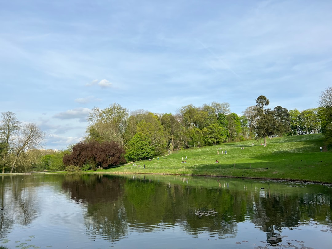 Photo Picnic in park